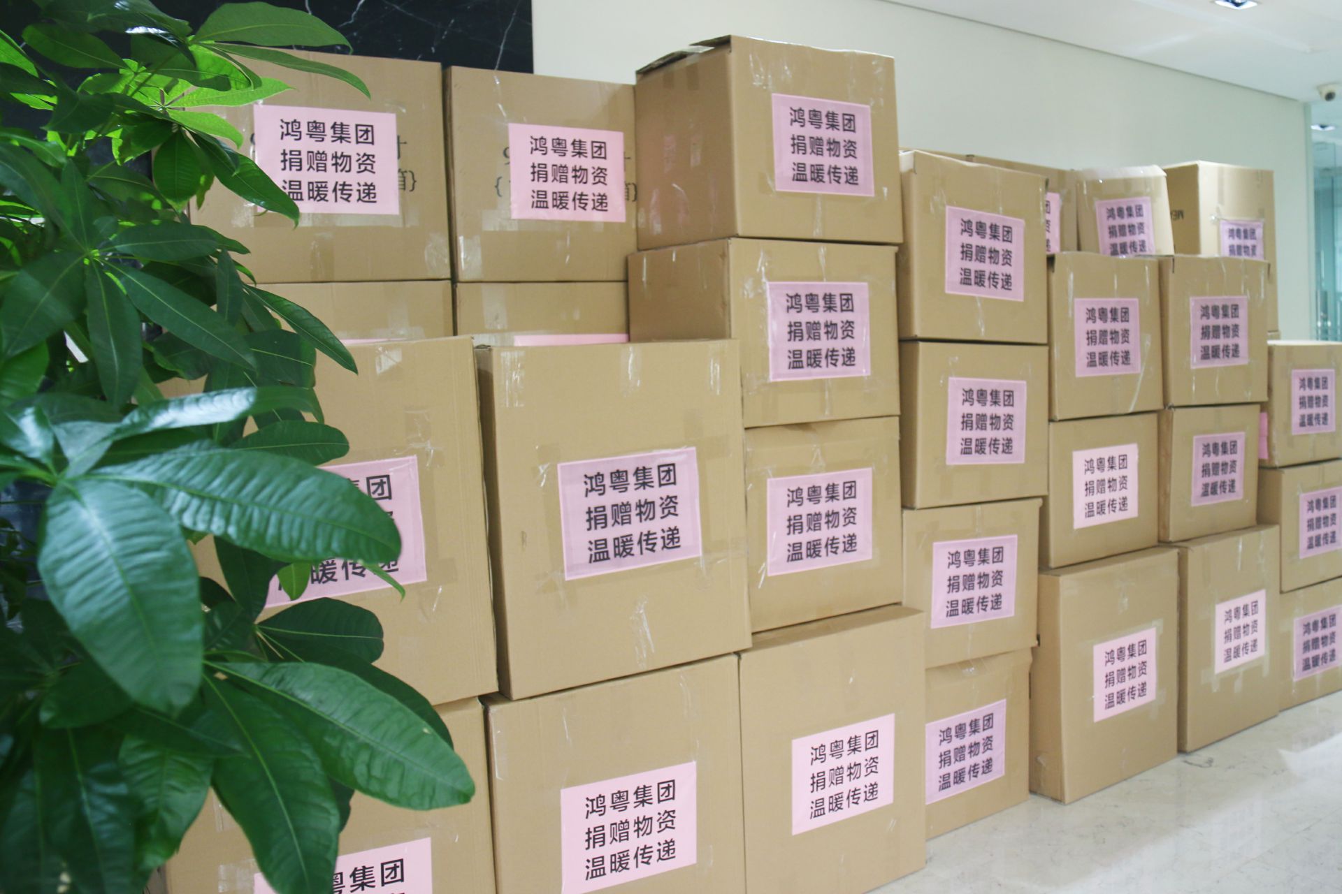 开云app官方在线入口-开云(中国)公益回顾丨家国同欢月同圆 温暖满载甘孜州(图1)